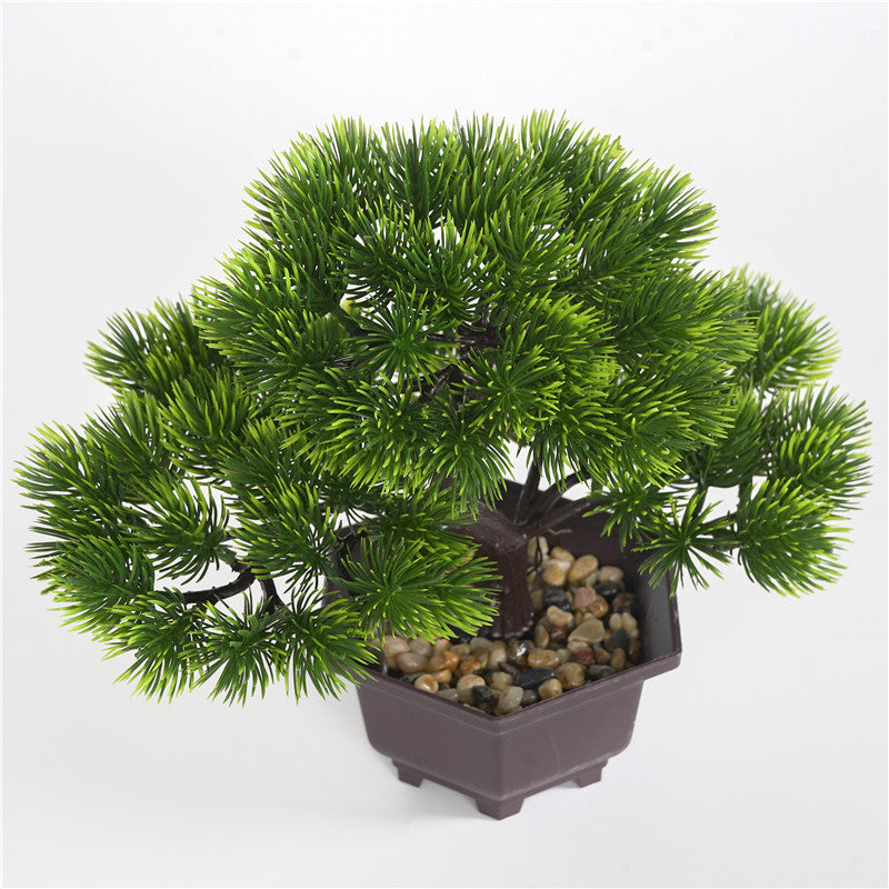 ZenScape Eternal Bonsai