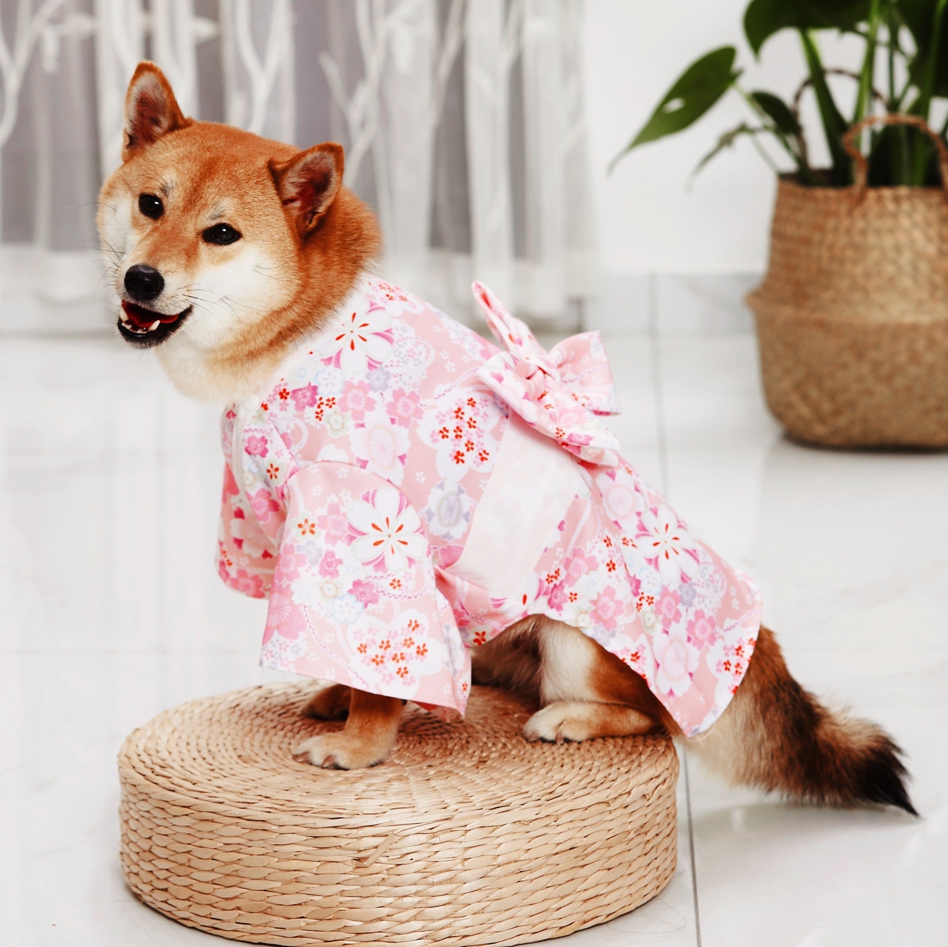Kimono Pet Decoration Clothes